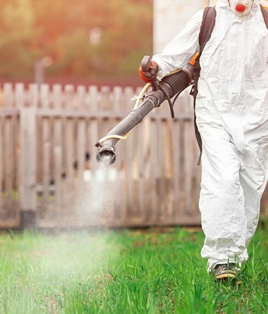 Mosquito Control Services in Daly City