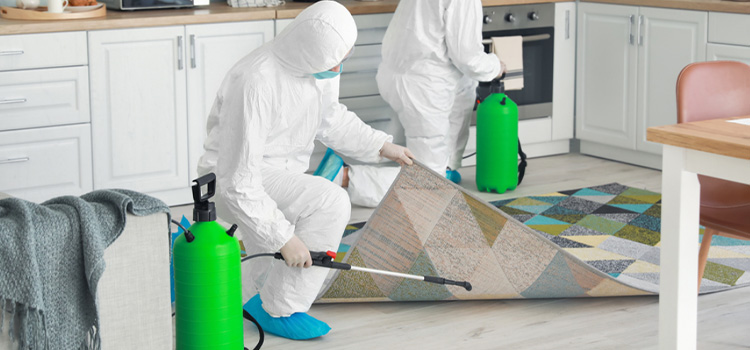 Home Fumigation Services