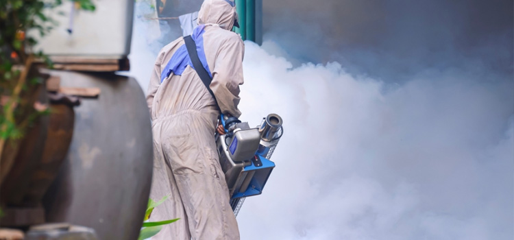 Residential Fumigation Services in Costa Mesa, CA