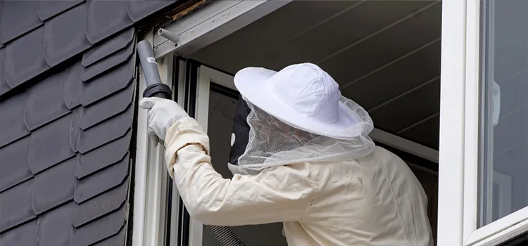 Wasp Control Services in Irvine, CA