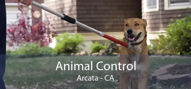 Animal Control Arcata - CA