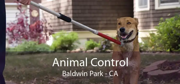 Animal Control Baldwin Park - CA