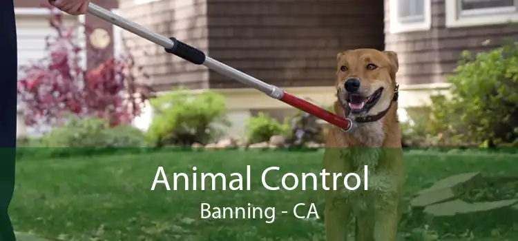 Animal Control Banning - CA