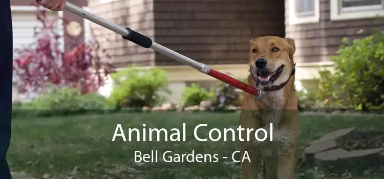 Animal Control Bell Gardens - CA