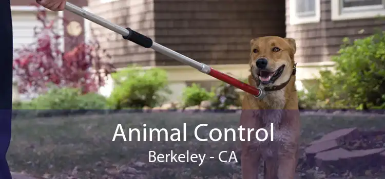 Animal Control Berkeley - CA
