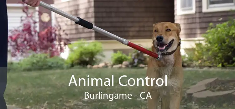 Animal Control Burlingame - CA