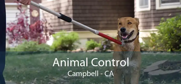 Animal Control Campbell - CA