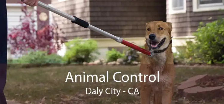 Animal Control Daly City - CA