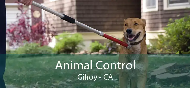 Animal Control Gilroy - CA