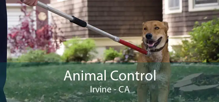 Animal Control Irvine - CA