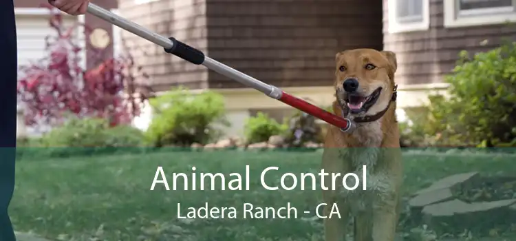 Animal Control Ladera Ranch - CA