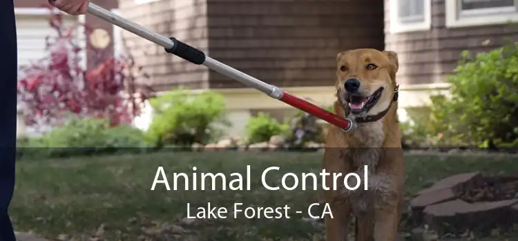 Animal Control Lake Forest - CA