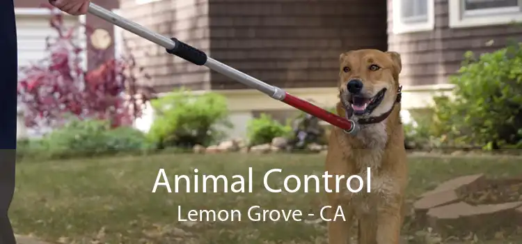 Animal Control Lemon Grove - CA