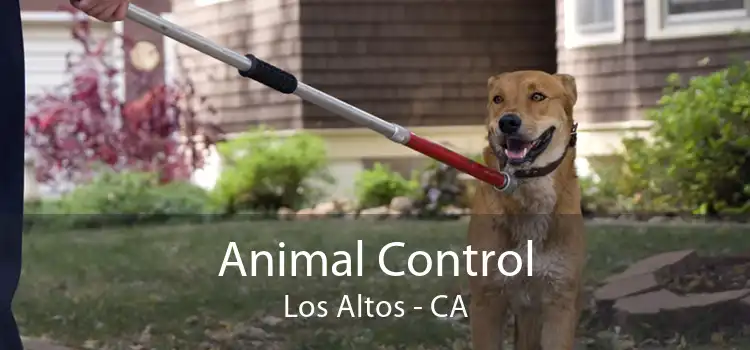 Animal Control Los Altos - CA