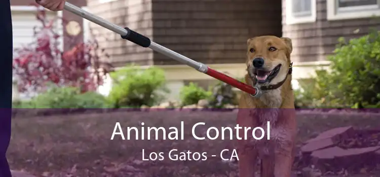 Animal Control Los Gatos - CA