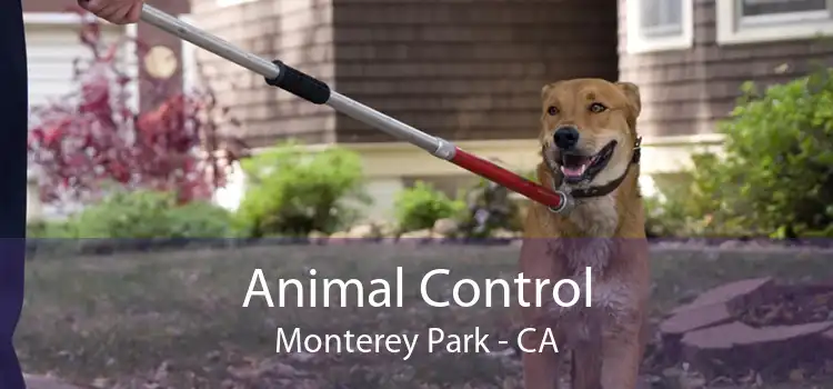 Animal Control Monterey Park - CA