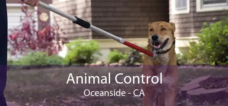 Animal Control Oceanside - CA
