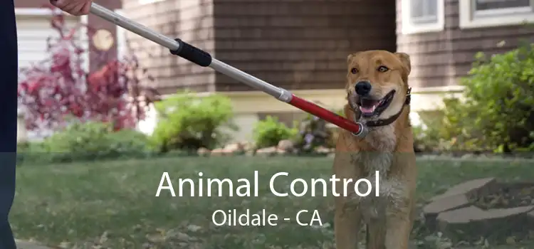 Animal Control Oildale - CA