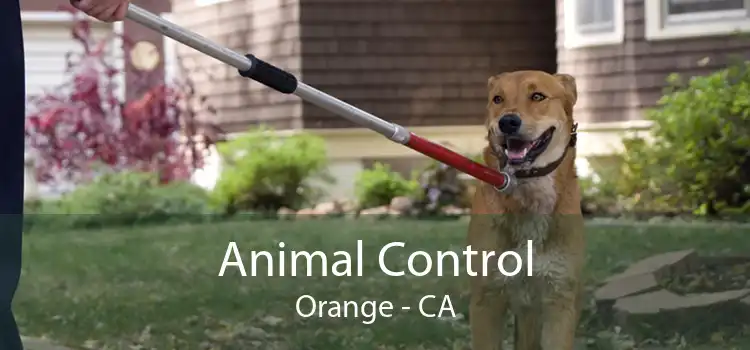 Animal Control Orange - CA