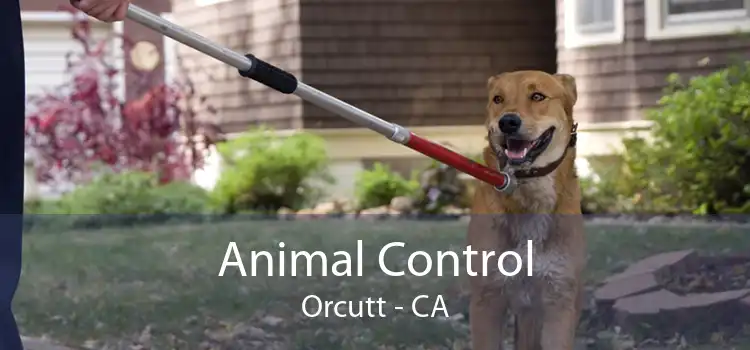 Animal Control Orcutt - CA