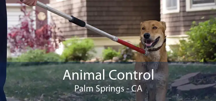 Animal Control Palm Springs - CA