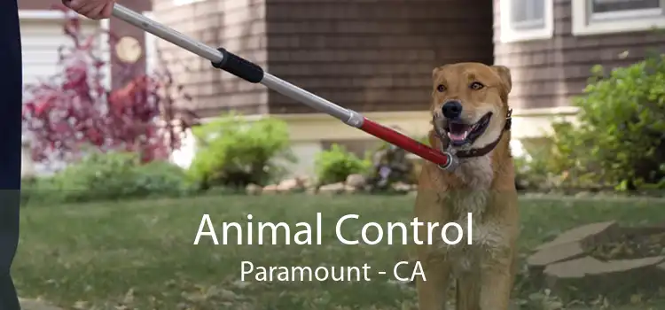 Animal Control Paramount - CA