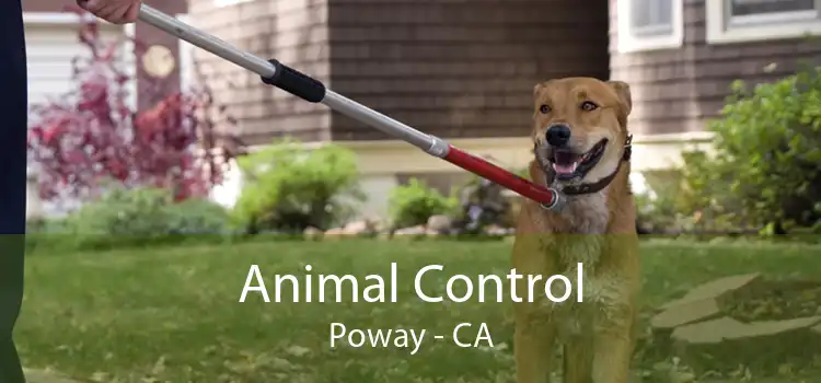 Animal Control Poway - CA