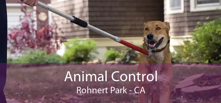 Animal Control Rohnert Park - CA