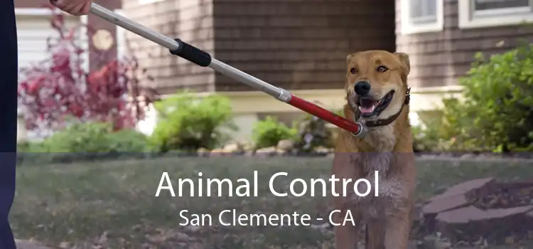 Animal Control San Clemente - CA