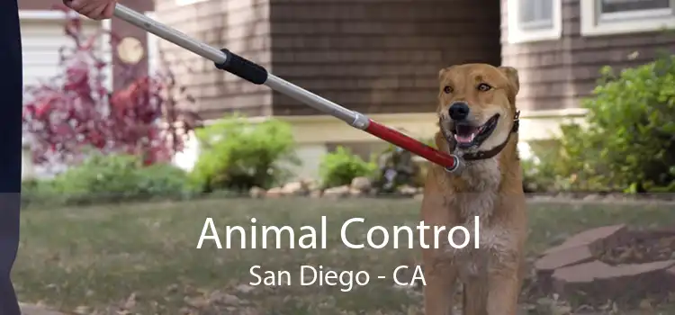 Animal Control San Diego - CA