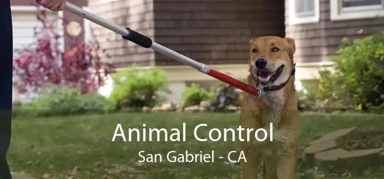 Animal Control San Gabriel - CA