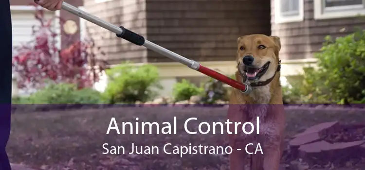 Animal Control San Juan Capistrano - CA