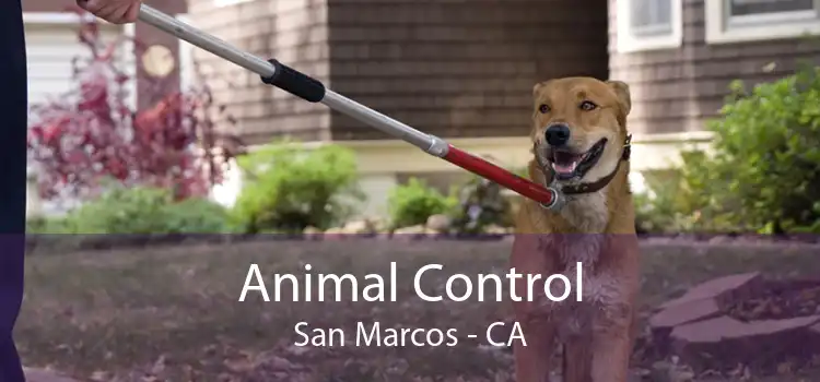 Animal Control San Marcos - CA