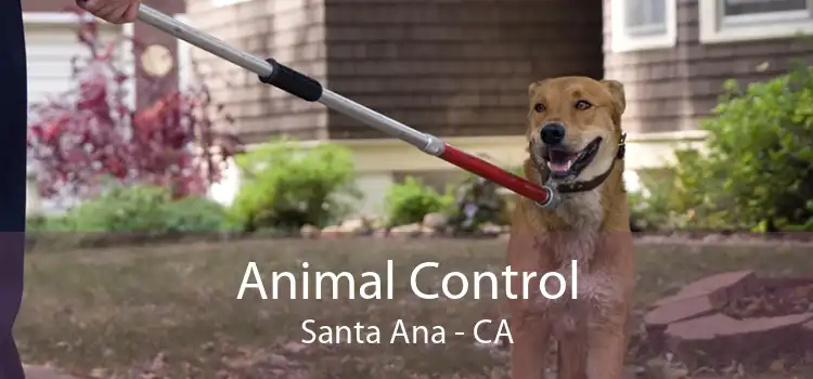 Animal Control Santa Ana - CA