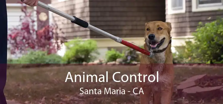 Animal Control Santa Maria - CA