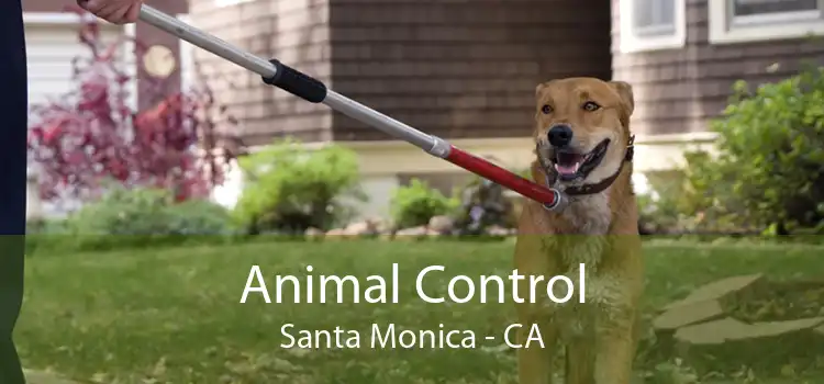 Animal Control Santa Monica - CA