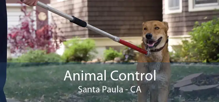 Animal Control Santa Paula - CA