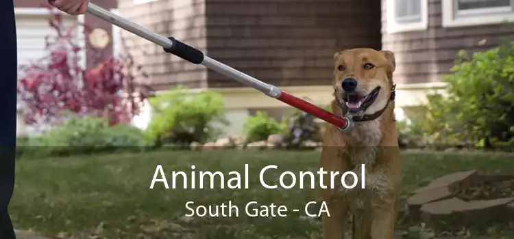 Animal Control South Gate - CA