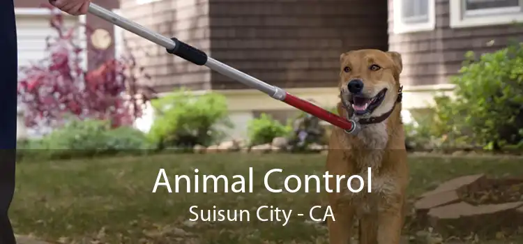 Animal Control Suisun City - CA