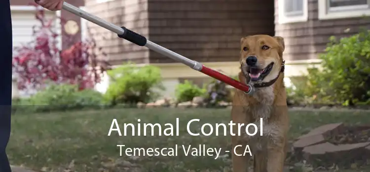 Animal Control Temescal Valley - CA