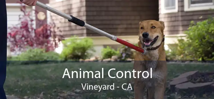 Animal Control Vineyard - CA