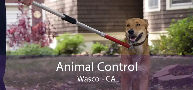 Animal Control Wasco - CA