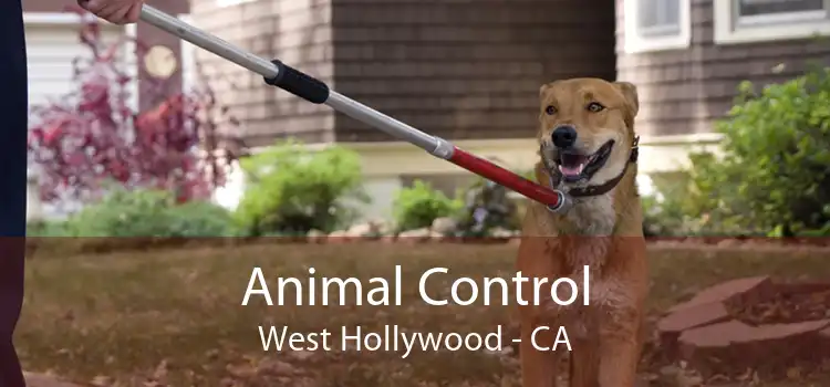 Animal Control West Hollywood - CA