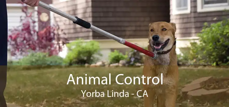 Animal Control Yorba Linda - CA