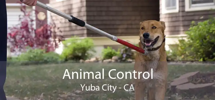Animal Control Yuba City - CA