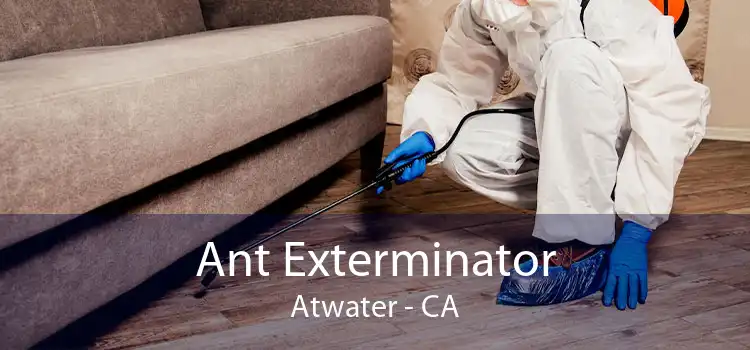 Ant Exterminator Atwater - CA