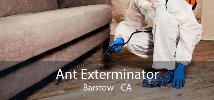 Ant Exterminator Barstow - CA