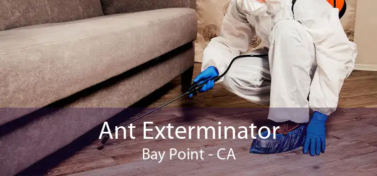 Ant Exterminator Bay Point - CA