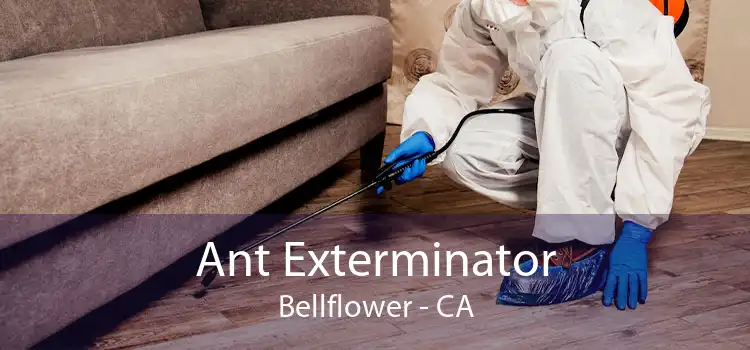 Ant Exterminator Bellflower - CA