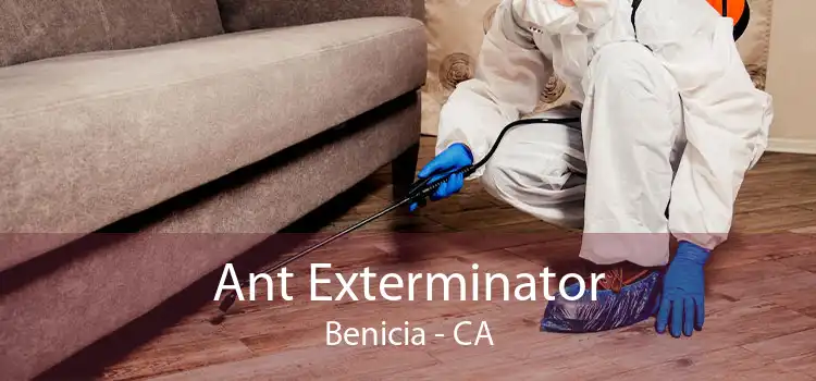 Ant Exterminator Benicia - CA